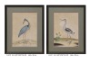 Water Colour Paintings Framed