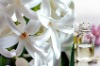 Wholesale wholesale incense fragrance with flowery