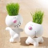 Grass head ,grass doll,little garden,gift,grass dolls