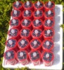 Wholesale Solar led candle