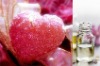 Wholesale candle fragrance