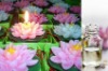 Wholesale fragrance candles