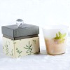 Jar glass candle
