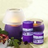 Lavender Aroma Candle