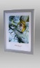 Poster Frame (Picture Frame) (Photo Frame)