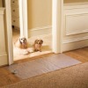 Electronic Pet training dog mat dog training products