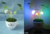 Mushroom LED lamp