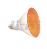 PAR38 Compact Fluorescent Lamp