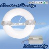 Wholesale Fengyun energy saving annular induction lights 40w-400w