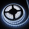 Wholesale 3528 SMD 4.8W LED strip