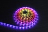 Wholesale magic color chaging 5050 SMD LED Light Ribbon(32LED/m)