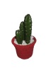 New Lifelike Decorative Artificial Cactus Plant