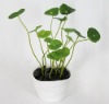 Potted Artificial Flower/Plant in East and West Market