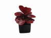 Hot Decorative Artificial Succulent Plant