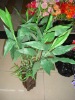 artificial plants bonsai