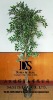 Artificial tree,artificial plant,home decor,plastic plant,plastic tree,christmas tree,pvc tree