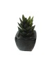 Hot Sell Artificial Succulent Plant Artificial Bonsai