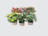 2011 Hot Mini Artificial Potted Plant Sets