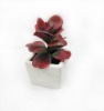 Plastic Artificial Potted Plants
