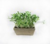 Popular Artificial Grass Plant