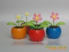 Wholesale fashionable solar flowers