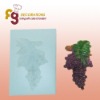 Silicone Candy Mould(new )/Icing Mould/Grape Shape