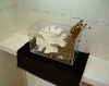 Acrylic Tank Aquarium