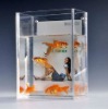 DY273 Modern Design Acrylic Transparent Fish Tank