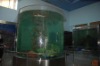 aquarium product