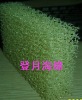 filter sponge for swimming pool