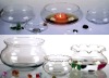 Glass Fishbowl