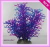 aquarium plant