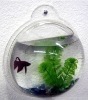 fish tank, acrylic fish tank, home decoration