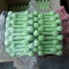 Wholesale 2011 new pet products