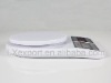 Electronic Kitchen Scale