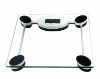 electronic body fat scale