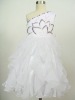 Beautiful princess dress-2011 new design