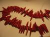 red coral