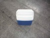Wholesale portable cooler box