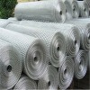 Iron welded wire mesh (factory)