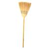 Sorghum Bicolor Broom