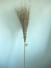 Raw Bamboo Broom
