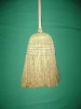 Topolina sorghum broom 5x