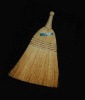 home broom