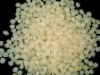 hot melt adhesive for packing