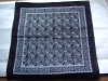 hanky