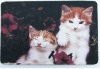 Promotional Animal Door Mat