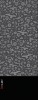 polar fleece bandanna
