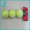 TrainingTennis Balls