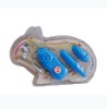 vibrators toys,sex toys,eggs and bullets,sex game